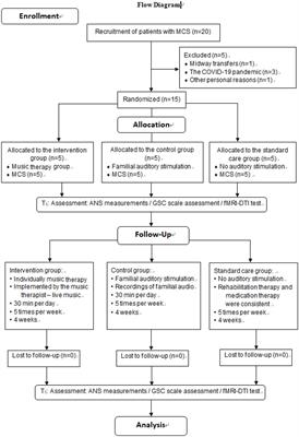 The effect and mechanisms of music therapy on the autonomic nervous system and brain networks of patients of minimal conscious states: a randomized controlled trial